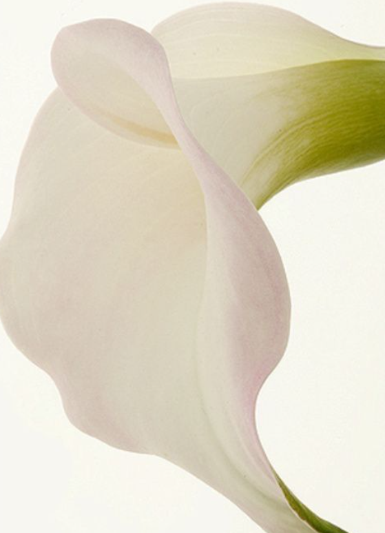 Maison S : une lettre d’amour à la beauté coréenne