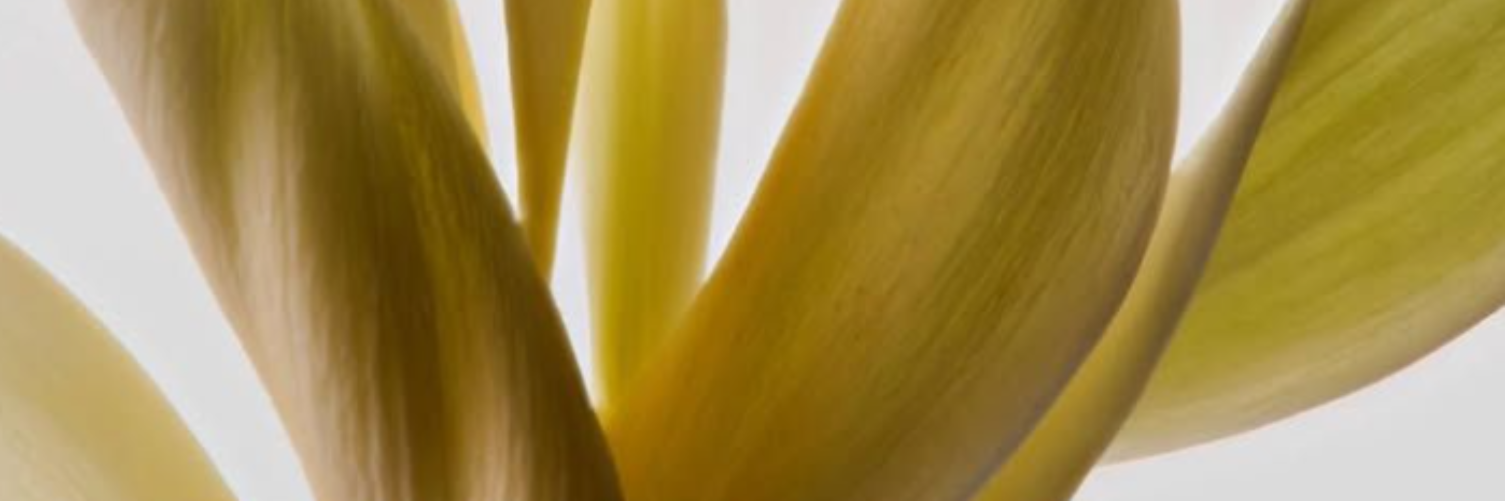 Acné & imperfections