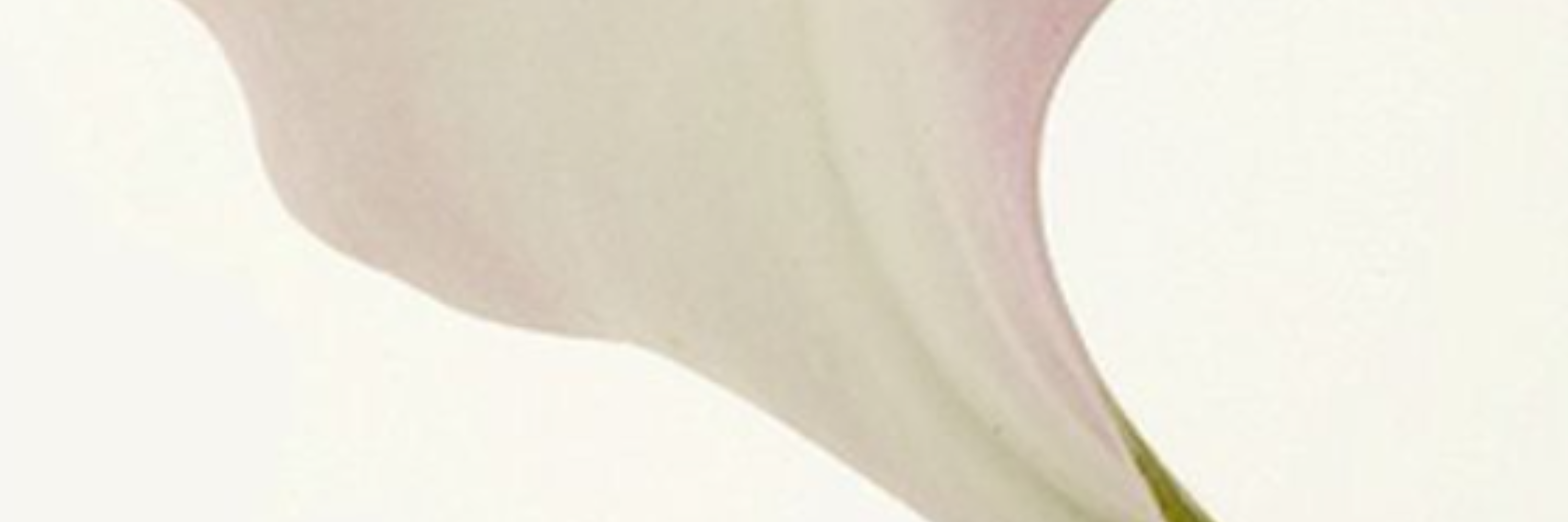 Déshydratation & confort cutané