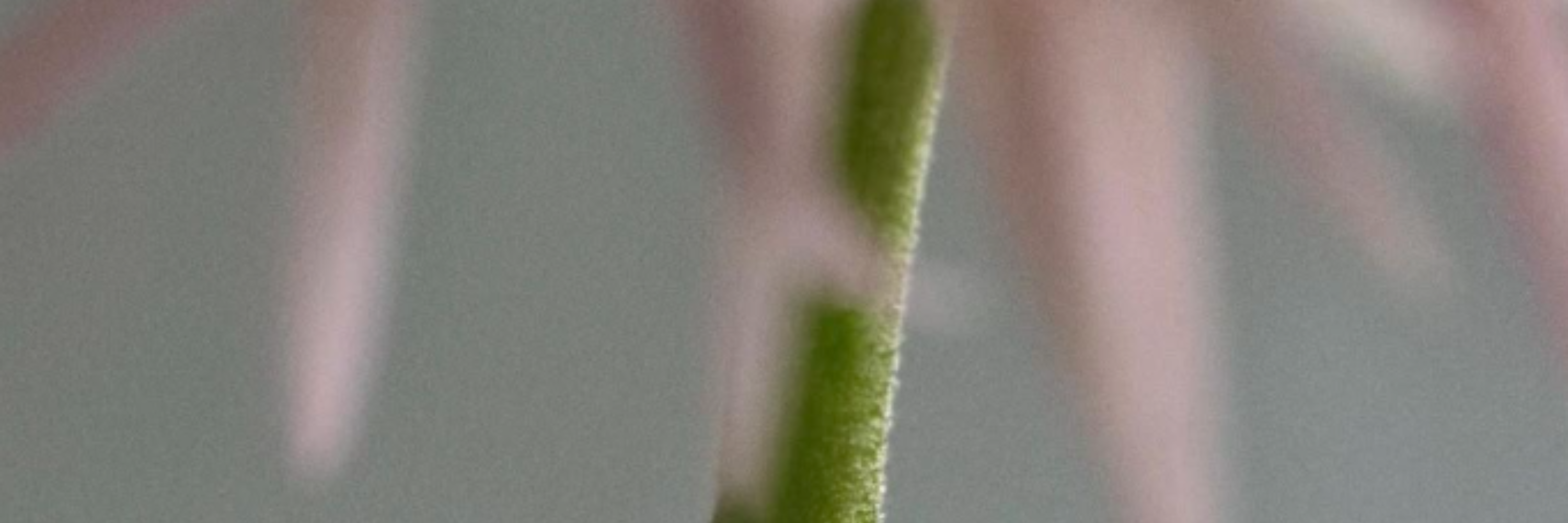 Un été lumineux, une peau sereine