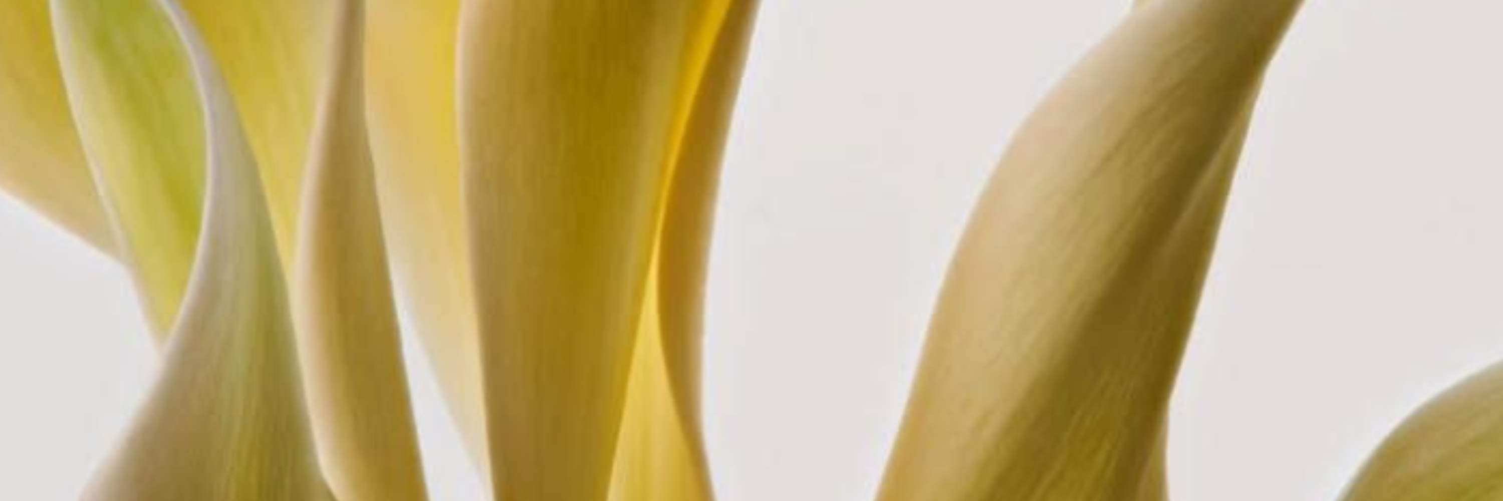 Grain de peau & pores visibles