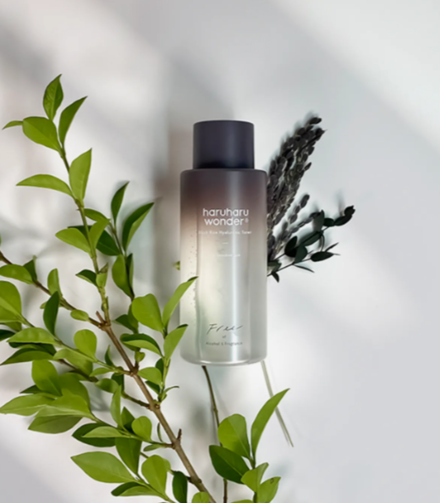 WONDER Black Rice Hyaluronic Toner _For Sensitive Skin