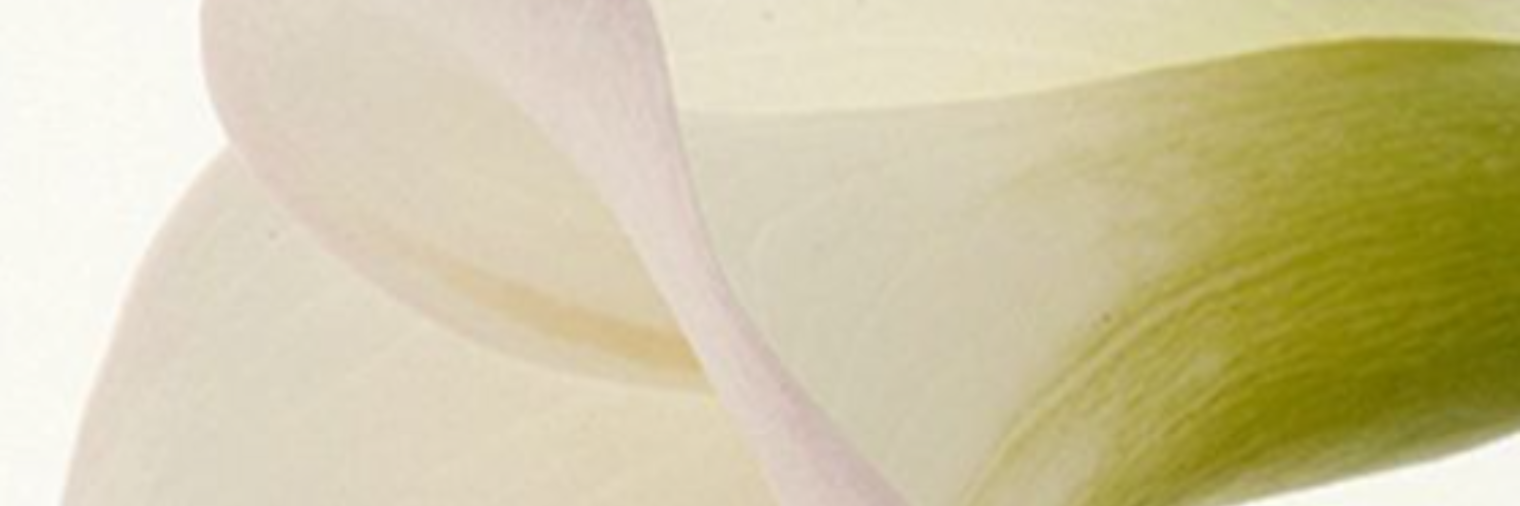 Fermeté & premières rides