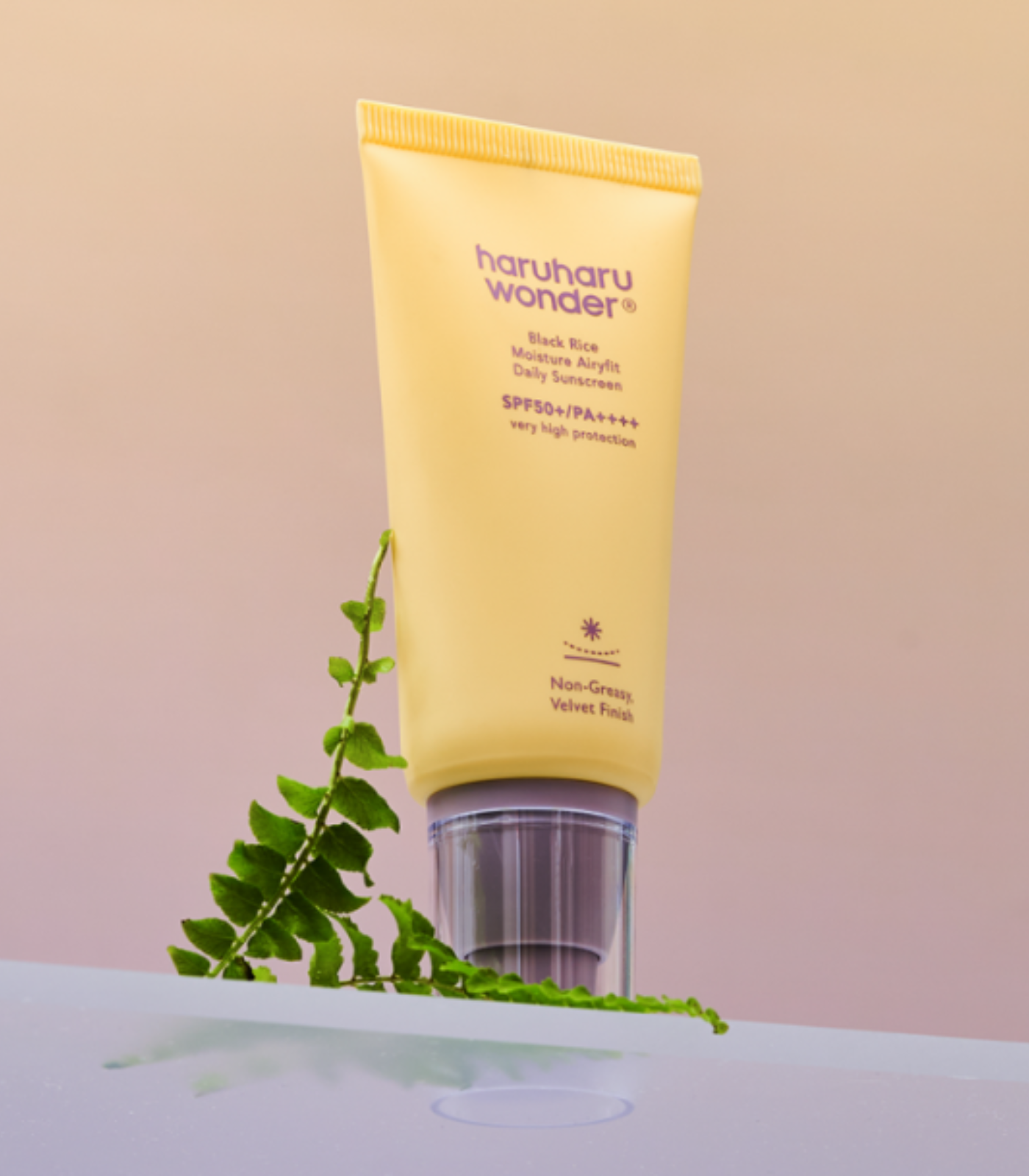 Black Rice Moisture Airyfit Daily Sunscreen